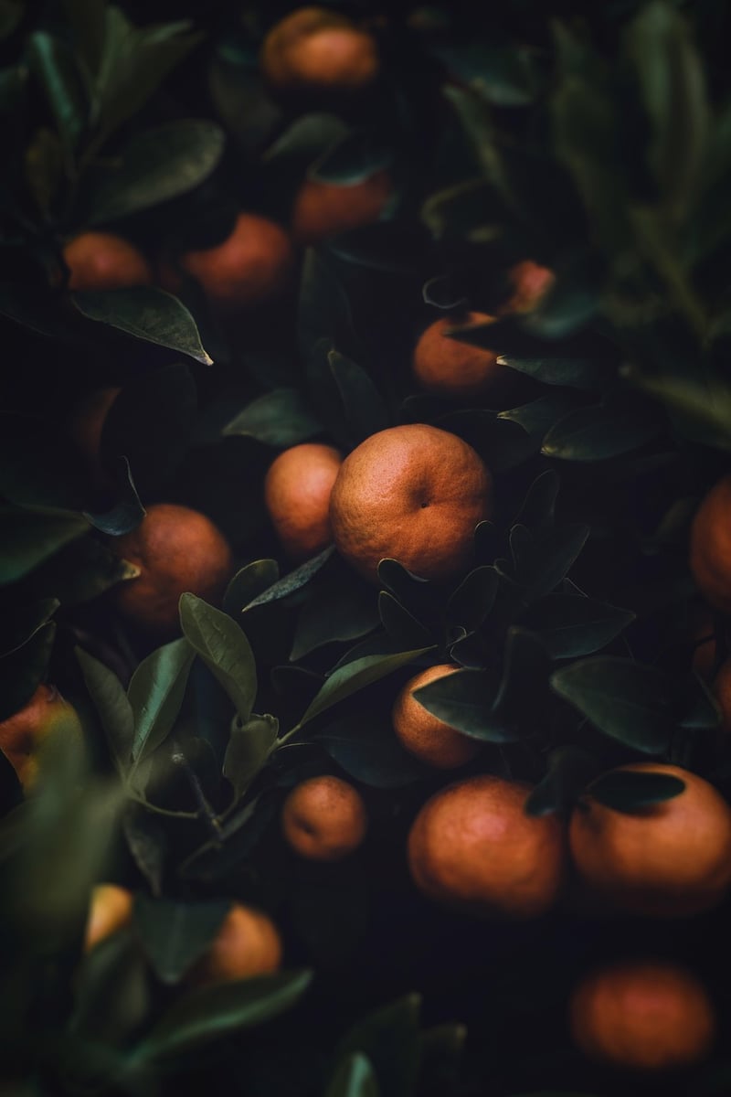 Nature's Bounty